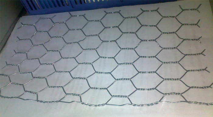 Hexagonal Wire Mesh (Gabions)